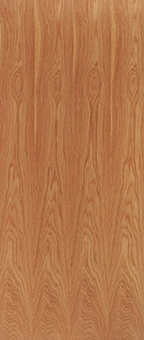 External/Internal Lipped Timber Door Blank FD30 44mm Fire Door